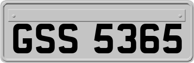 GSS5365