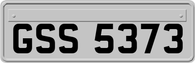 GSS5373