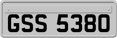 GSS5380