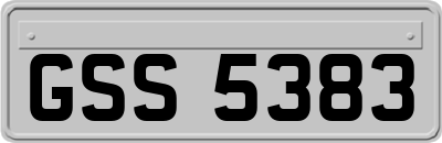 GSS5383