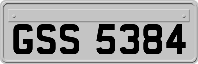 GSS5384