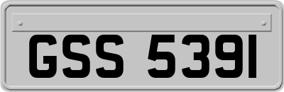 GSS5391