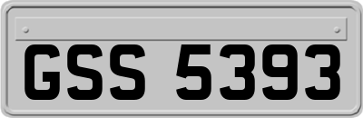GSS5393