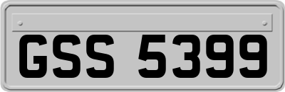 GSS5399