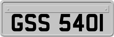GSS5401