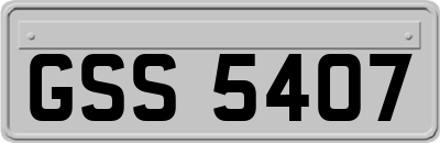GSS5407