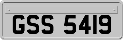GSS5419