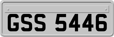 GSS5446