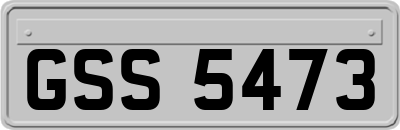 GSS5473
