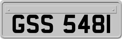 GSS5481