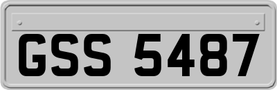 GSS5487