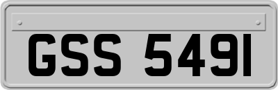 GSS5491