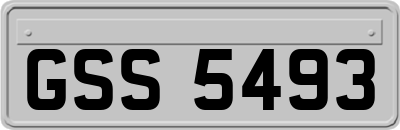 GSS5493
