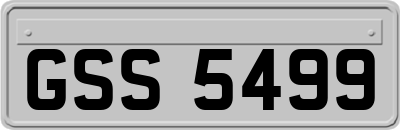GSS5499