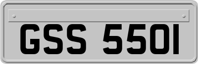 GSS5501