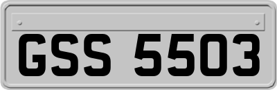 GSS5503