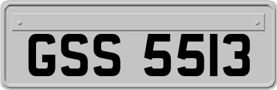 GSS5513