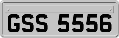 GSS5556