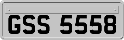 GSS5558