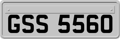 GSS5560