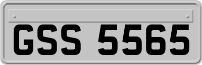 GSS5565