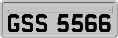 GSS5566