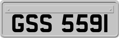 GSS5591