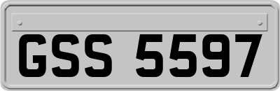 GSS5597
