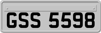 GSS5598