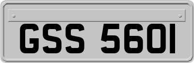 GSS5601