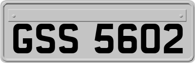 GSS5602
