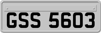 GSS5603