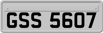 GSS5607