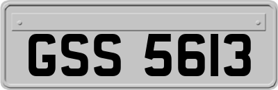 GSS5613
