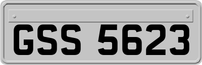 GSS5623