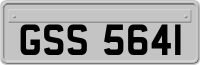 GSS5641