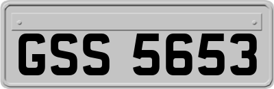 GSS5653