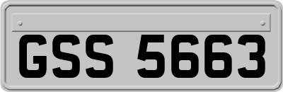 GSS5663