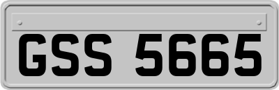 GSS5665