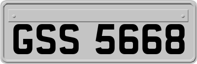 GSS5668