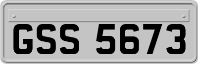 GSS5673