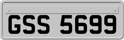 GSS5699