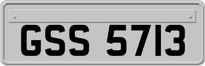 GSS5713