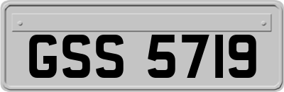 GSS5719
