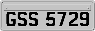 GSS5729