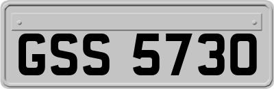 GSS5730