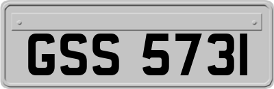 GSS5731