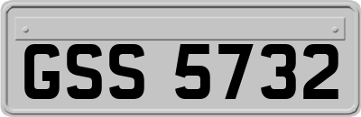 GSS5732