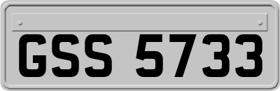 GSS5733