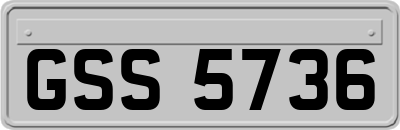 GSS5736